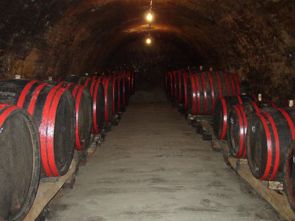 Podrumi Kolar "Suza Baranje" Kneževi Vinogradi Dış mekan fotoğraf