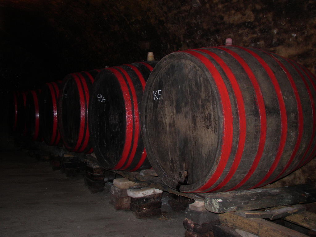 Podrumi Kolar "Suza Baranje" Kneževi Vinogradi Dış mekan fotoğraf